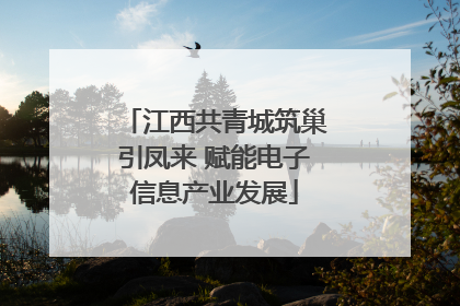 江西共青城筑巢引凤来 赋能电子信息产业发展