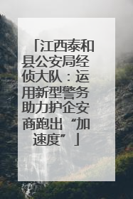 江西泰和县公安局经侦大队：运用新型警务助力护企安商跑出“加速度”