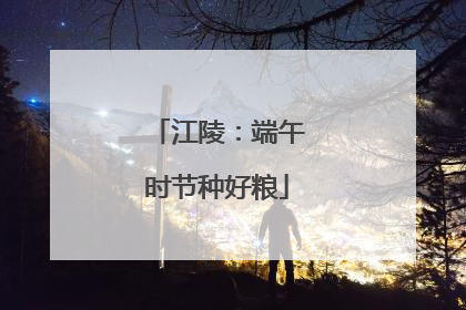 江陵：端午时节种好粮