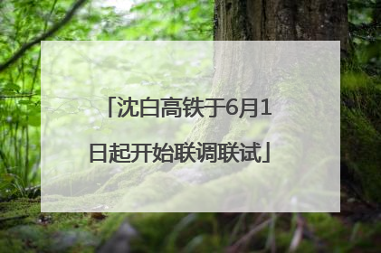 沈白高铁于6月1日起开始联调联试