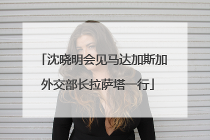 沈晓明会见马达加斯加外交部长拉萨塔一行