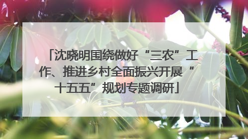 沈晓明围绕做好“三农”工作、推进乡村全面振兴开展“十五五”规划专题调研