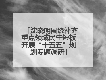 沈晓明围绕补齐重点领域民生短板开展“十五五”规划专题调研