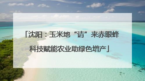 沈阳：玉米地“请”来赤眼蜂 科技赋能农业助绿色增产