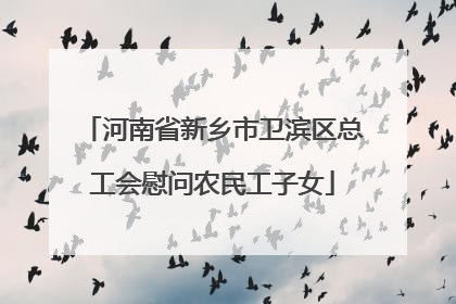 河南省新乡市卫滨区总工会慰问农民工子女