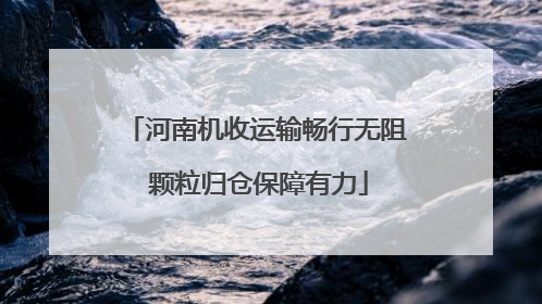 河南机收运输畅行无阻 颗粒归仓保障有力