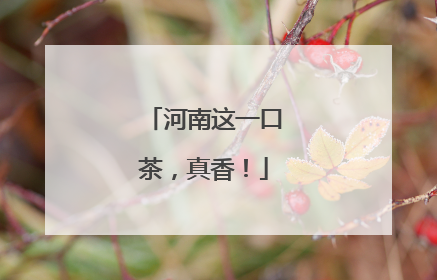 河南这一口茶，真香！