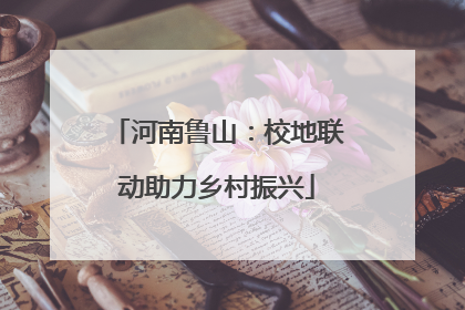 河南鲁山：校地联动助力乡村振兴