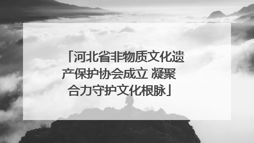 河北省非物质文化遗产保护协会成立 凝聚合力守护文化根脉