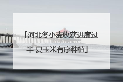 河北冬小麦收获进度过半 夏玉米有序种植