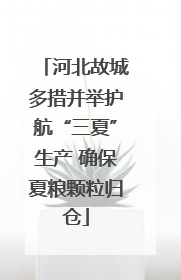 河北故城多措并举护航“三夏”生产 确保夏粮颗粒归仓