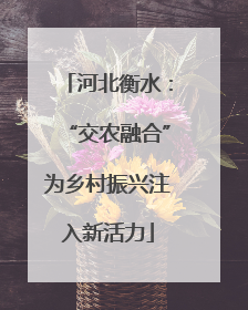 河北衡水：“交农融合”为乡村振兴注入新活力