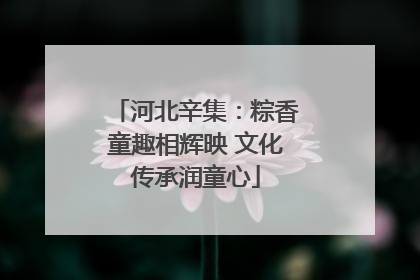 河北辛集：粽香童趣相辉映 文化传承润童心