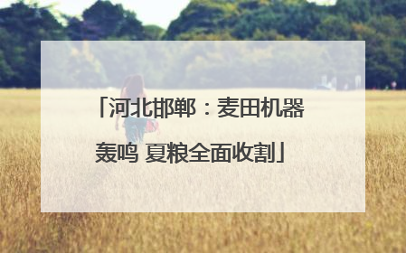 河北邯郸：麦田机器轰鸣 夏粮全面收割