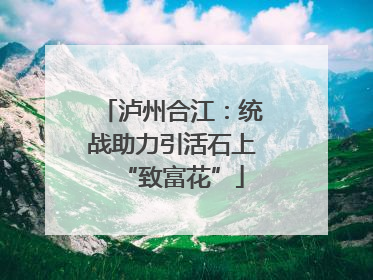 泸州合江：统战助力引活石上“致富花”