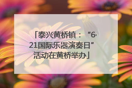 泰兴黄桥镇：“6·21国际乐器演奏日”活动在黄桥举办