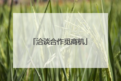 洽谈合作觅商机