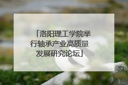 洛阳理工学院举行轴承产业高质量发展研究论坛