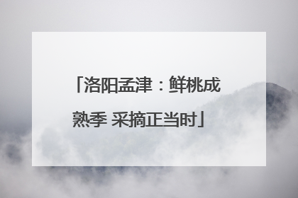 洛阳孟津：鲜桃成熟季 采摘正当时