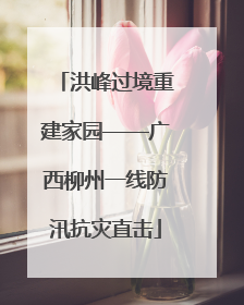 洪峰过境重建家园——广西柳州一线防汛抗灾直击