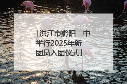 洪江市黔阳一中举行2025年新团员入团仪式