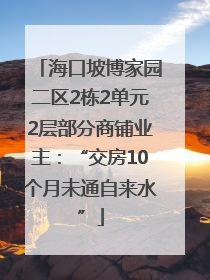 海口坡博家园二区2栋2单元2层部分商铺业主：“交房10个月未通自来水”