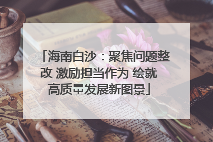 海南白沙：聚焦问题整改 激励担当作为 绘就高质量发展新图景