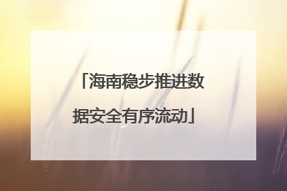 海南稳步推进数据安全有序流动