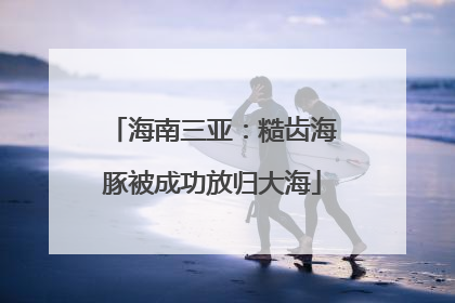 海南三亚：糙齿海豚被成功放归大海