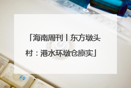 海南周刊丨东方墩头村：港水环墩仓廪实