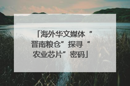 海外华文媒体“晋南粮仓”探寻“农业芯片”密码