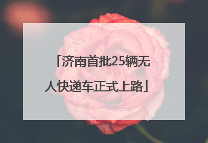 济南首批25辆无人快递车正式上路