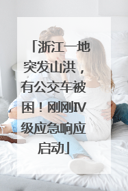 浙江一地突发山洪，有公交车被困！刚刚Ⅳ级应急响应启动