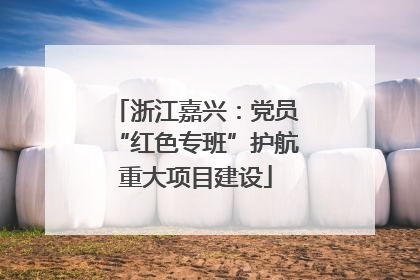 浙江嘉兴：党员“红色专班”护航重大项目建设