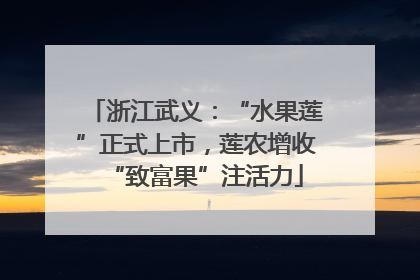 浙江武义：“水果莲”正式上市，莲农增收“致富果”注活力