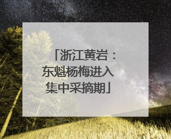 浙江黄岩：东魁杨梅进入集中采摘期