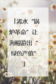 浠水“锅炉革命”让海鳗游出“绿色产值”