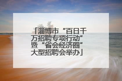 淄博市“百日千万招聘专项行动”暨“省会经济圈”大型招聘会举办