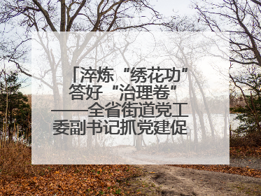 淬炼“绣花功” 答好“治理卷”——全省街道党工委副书记抓党建促基层治理培训示范班侧记