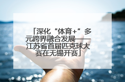 深化“体育+”多元跨界融合发展——江苏省首届匹克球大赛在无锡开赛