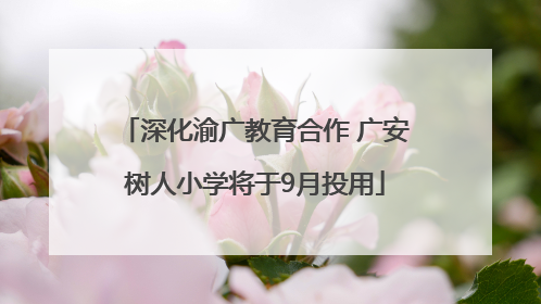 深化渝广教育合作 广安树人小学将于9月投用
