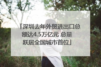 深圳去年外贸进出口总额达4.5万亿元 总量跃居全国城市首位