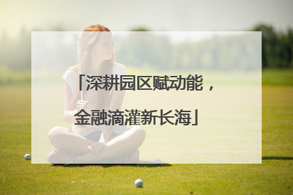 深耕园区赋动能，金融滴灌新长海