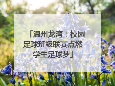 温州龙湾：校园足球班级联赛点燃学生足球梦