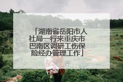 湖南省岳阳市人社局一行来重庆市巴南区调研工伤保险经办管理工作