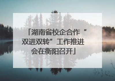 湖南省校企合作“双进双转”工作推进会在衡阳召开