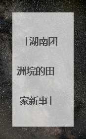 湖南团洲垸的田家新事