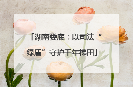 湖南娄底：以司法“绿盾”守护千年梯田
