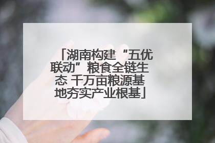 湖南构建“五优联动”粮食全链生态 千万亩粮源基地夯实产业根基