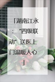 湖南江永：“四级联动”送医上门温暖人心